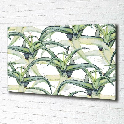 Tableau photo sur toile Aloe vera