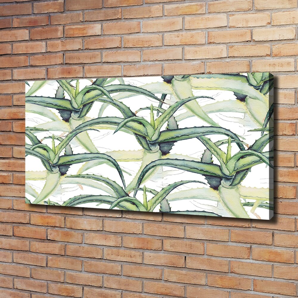 Tableau photo sur toile Aloe vera