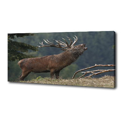 Tableau mural sur toile Cerf sur une colline