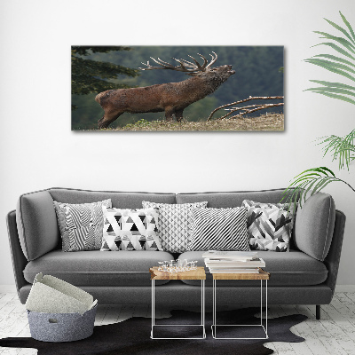 Tableau mural sur toile Cerf sur une colline