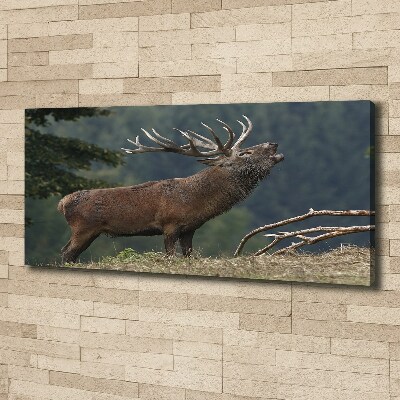 Tableau mural sur toile Cerf sur une colline