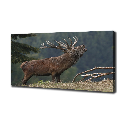 Tableau mural sur toile Cerf sur une colline