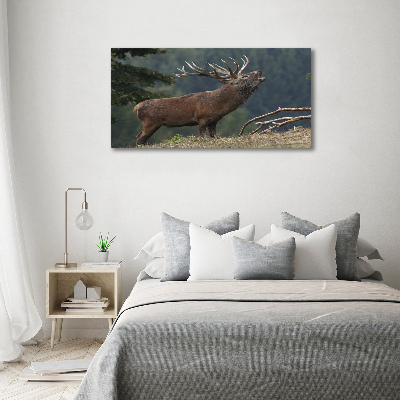 Tableau mural sur toile Cerf sur une colline