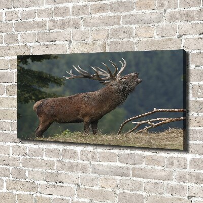 Tableau mural sur toile Cerf sur une colline