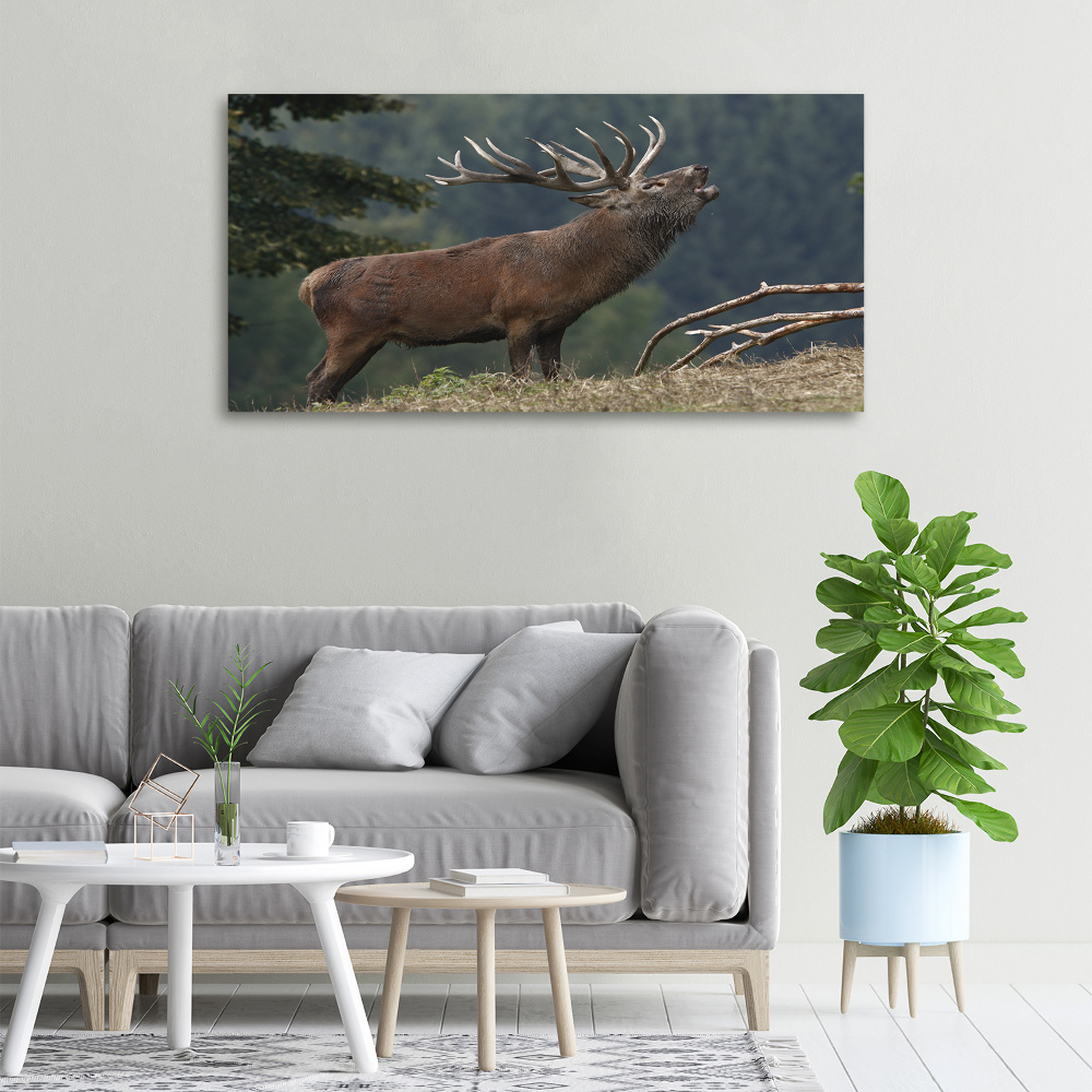 Tableau mural sur toile Cerf sur une colline