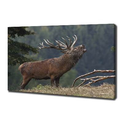 Tableau mural sur toile Cerf sur une colline