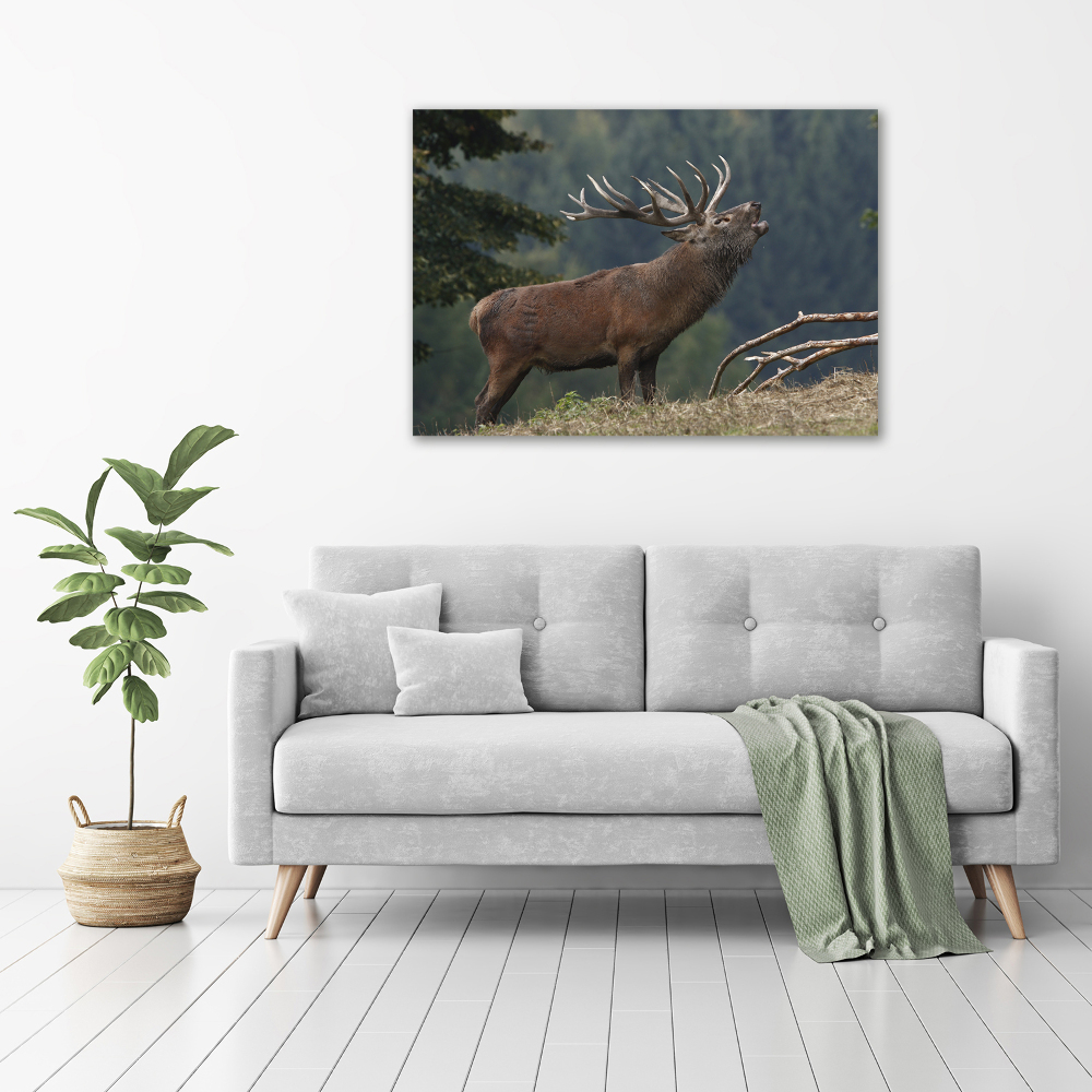 Tableau mural sur toile Cerf sur une colline