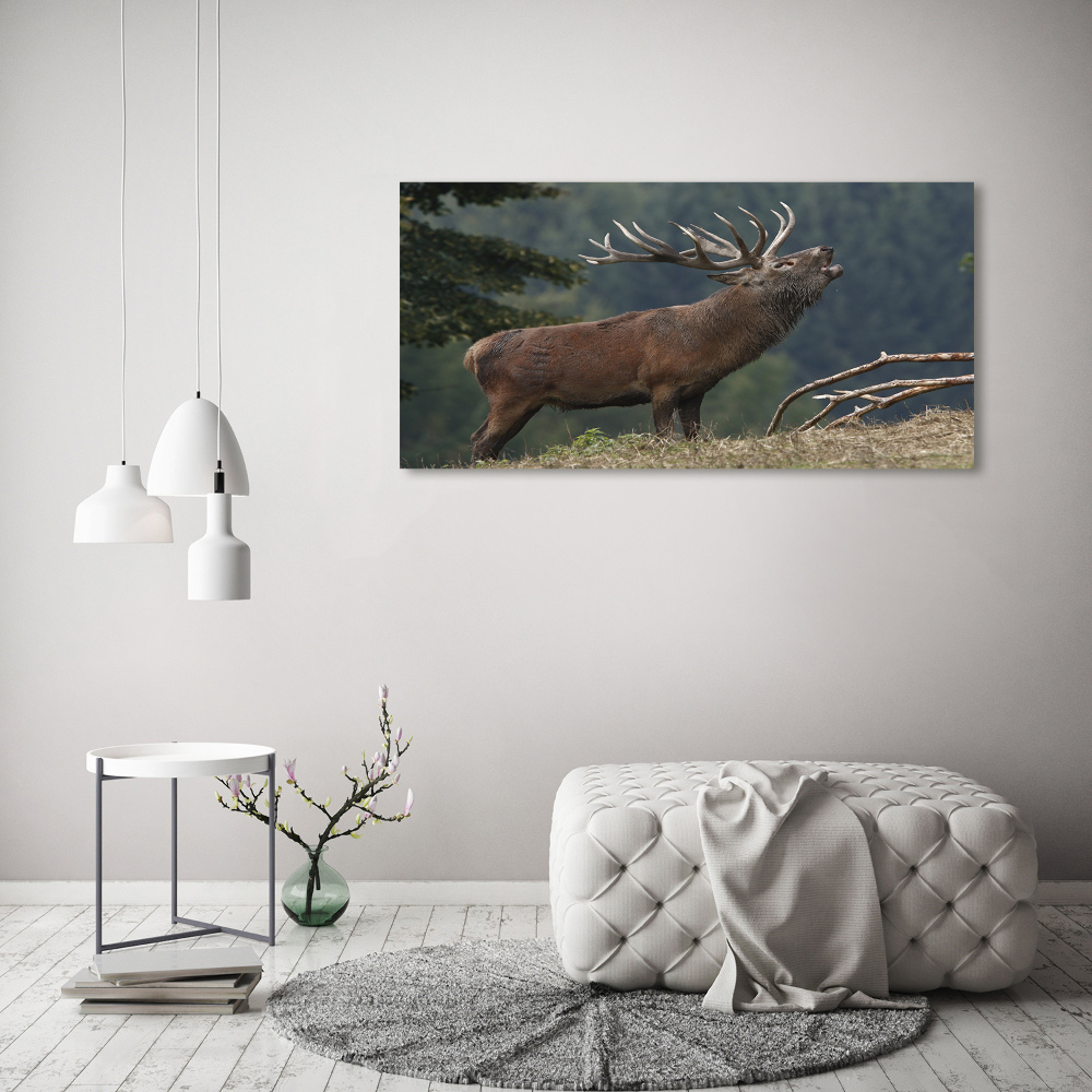 Tableau mural sur toile Cerf sur une colline