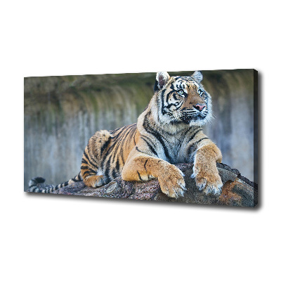 Tableau sur toile Tigre