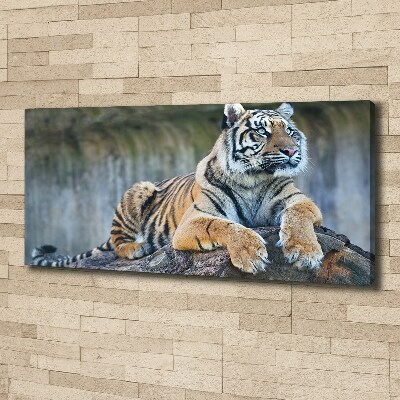 Tableau sur toile Tigre