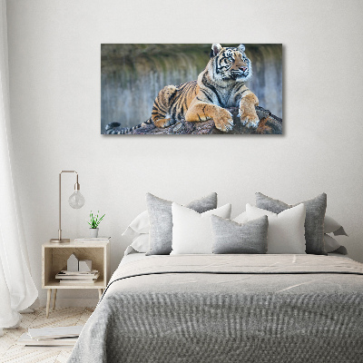 Tableau sur toile Tigre