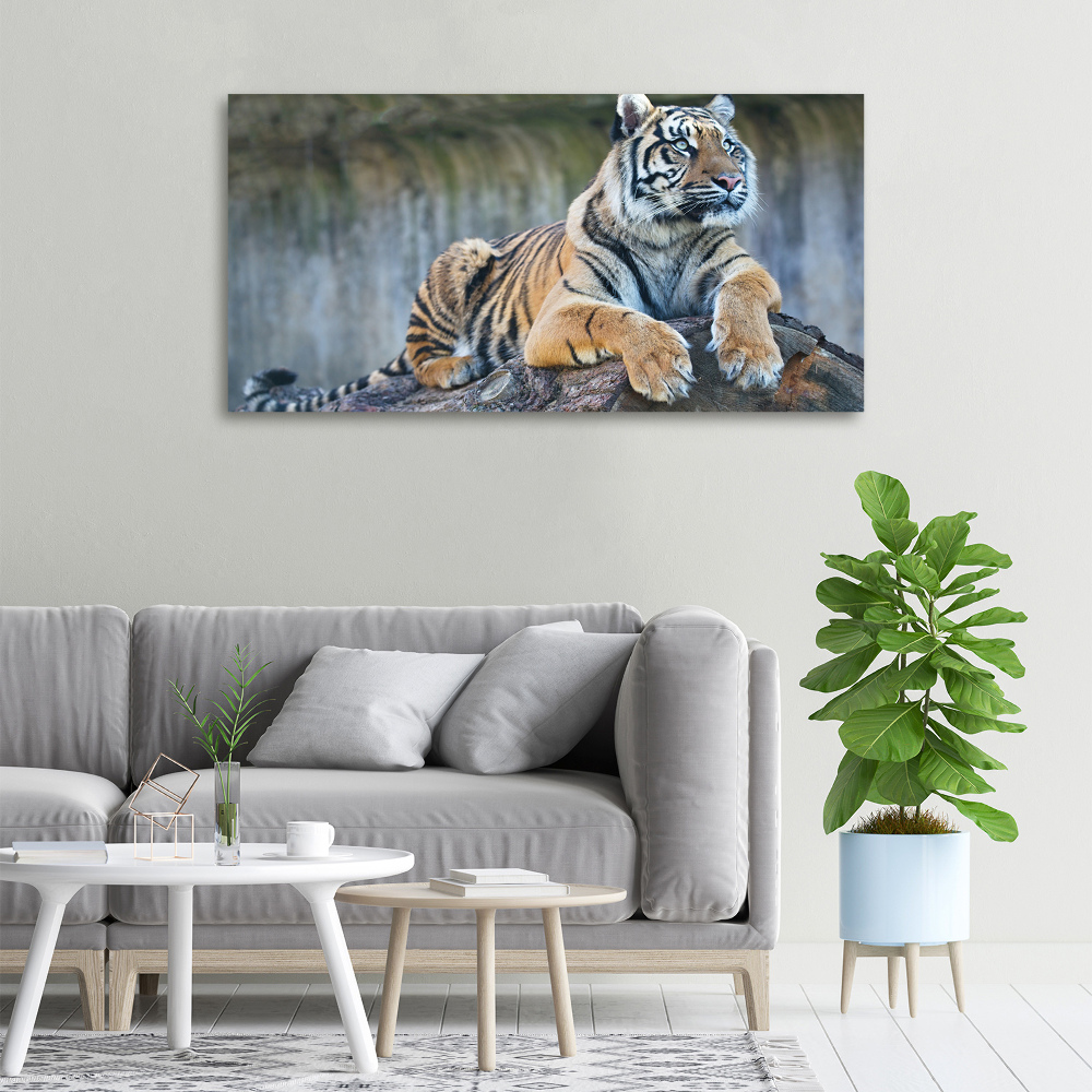 Tableau sur toile Tigre