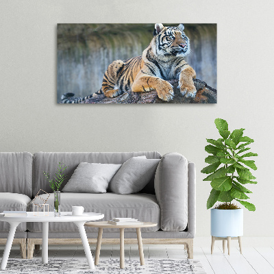 Tableau sur toile Tigre