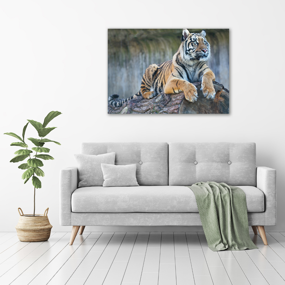 Tableau sur toile Tigre