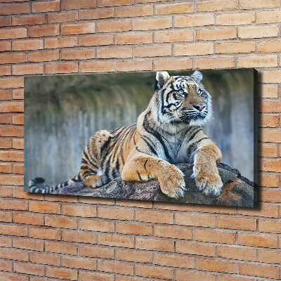 Tableau sur toile Tigre