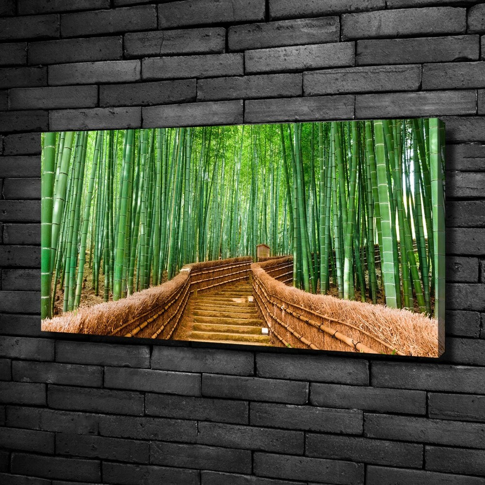 Tableau photo sur toile Forêt de bambous