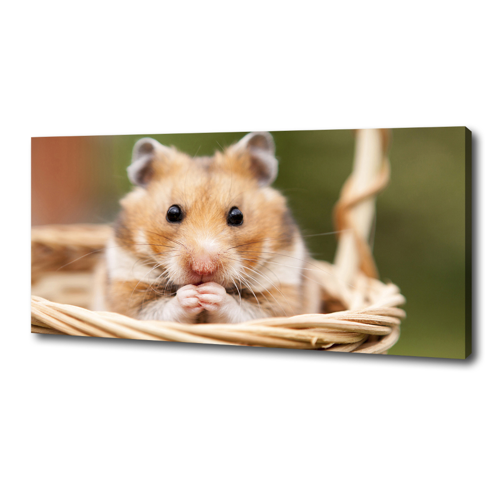 Tableau mural sur toile Hamster dans un panier