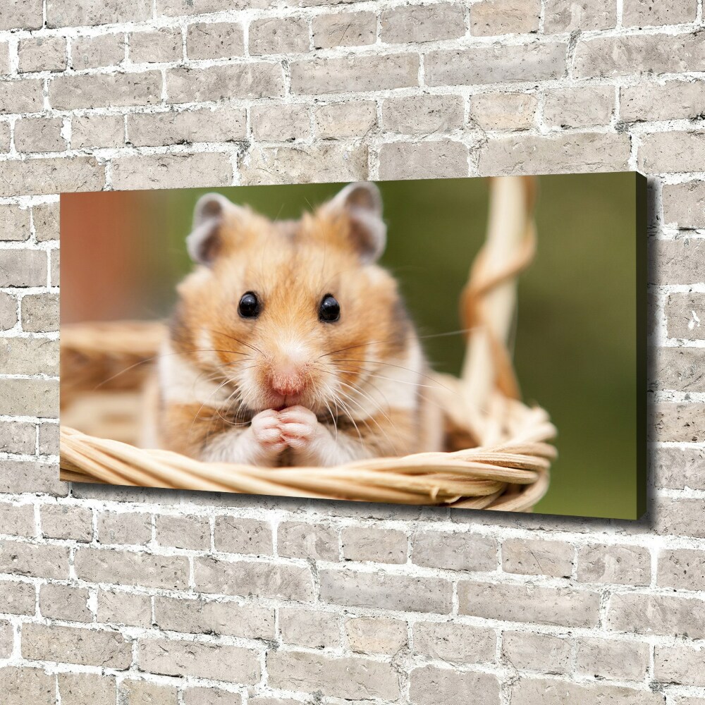 Tableau mural sur toile Hamster dans un panier