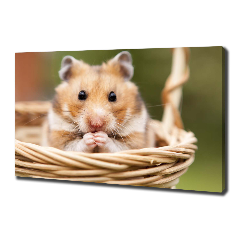 Tableau mural sur toile Hamster dans un panier