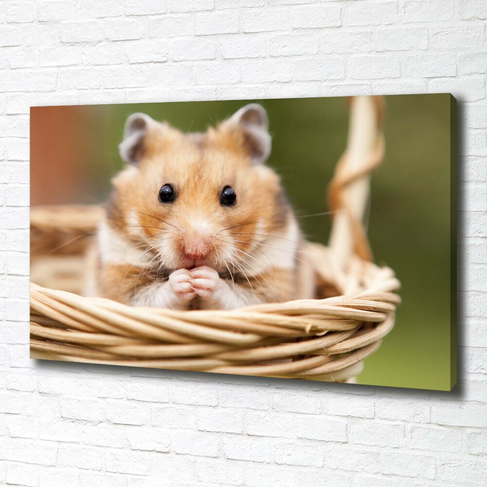 Tableau mural sur toile Hamster dans un panier