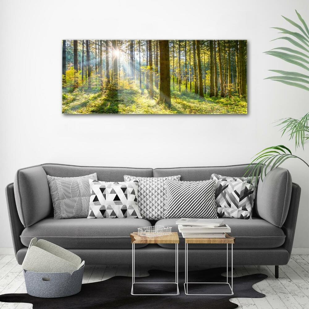 Tableau imprimé sur toile Forêt au soleil