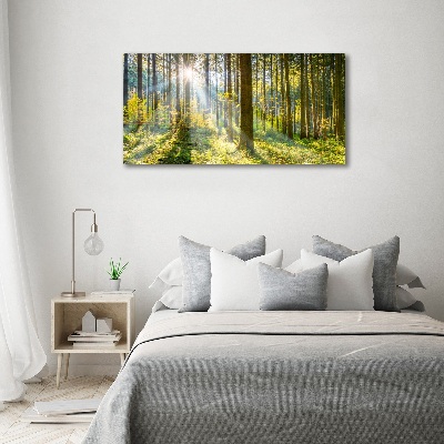 Tableau imprimé sur toile Forêt au soleil