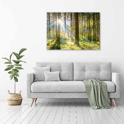 Tableau imprimé sur toile Forêt au soleil