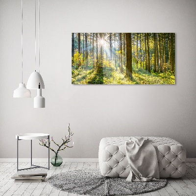 Tableau imprimé sur toile Forêt au soleil