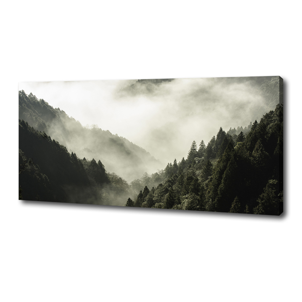 Tableau mural sur toile Brume sur la forêt