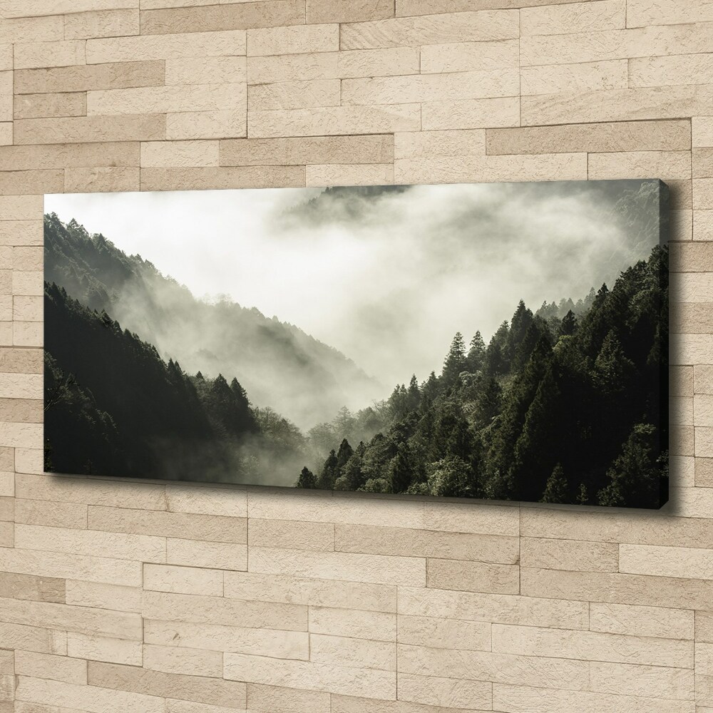 Tableau mural sur toile Brume sur la forêt