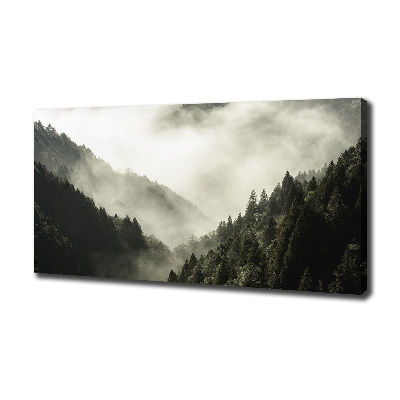 Tableau mural sur toile Brume sur la forêt