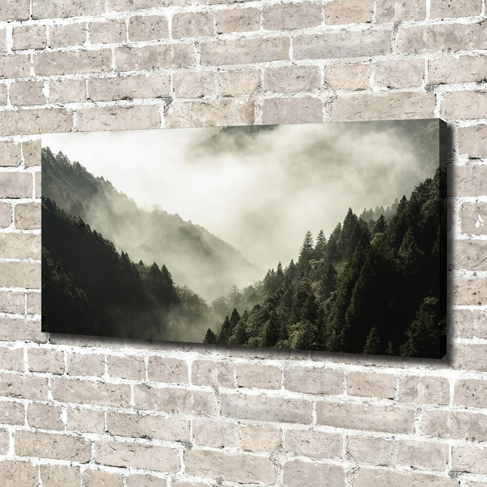 Tableau mural sur toile Brume sur la forêt