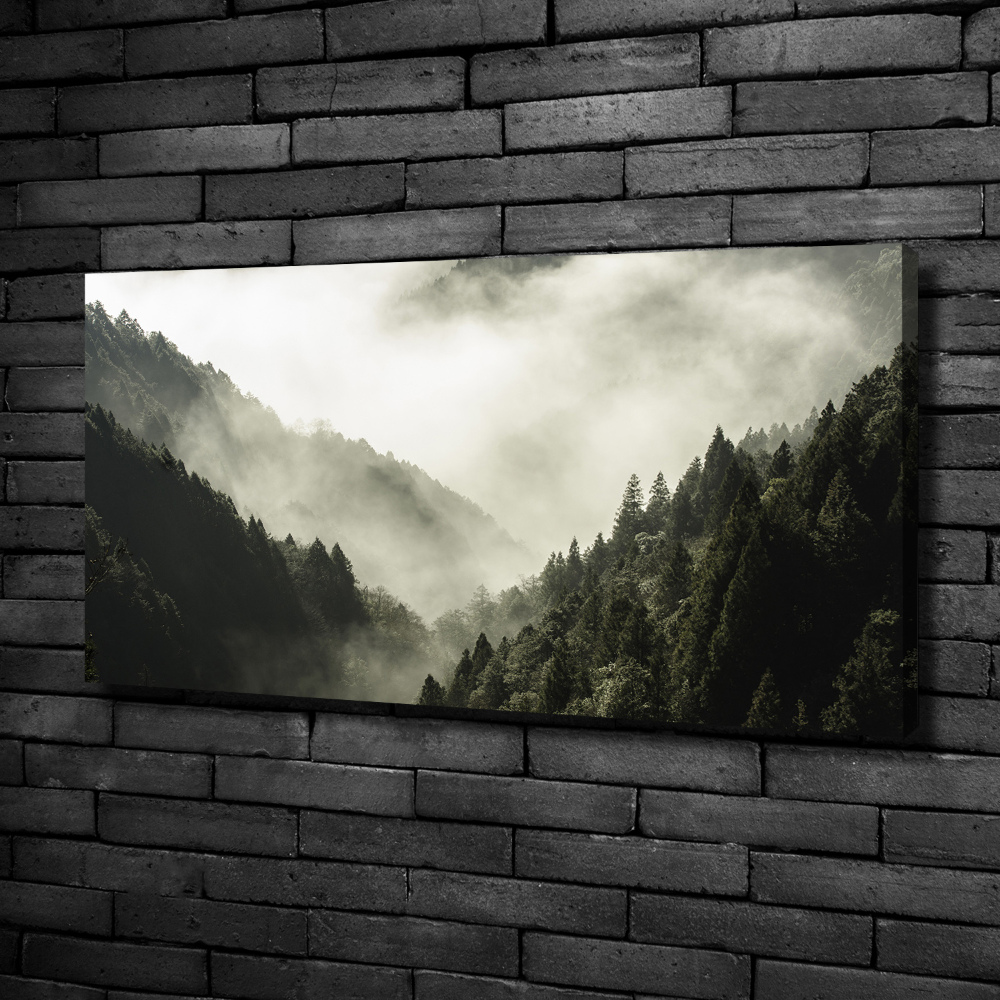 Tableau mural sur toile Brume sur la forêt