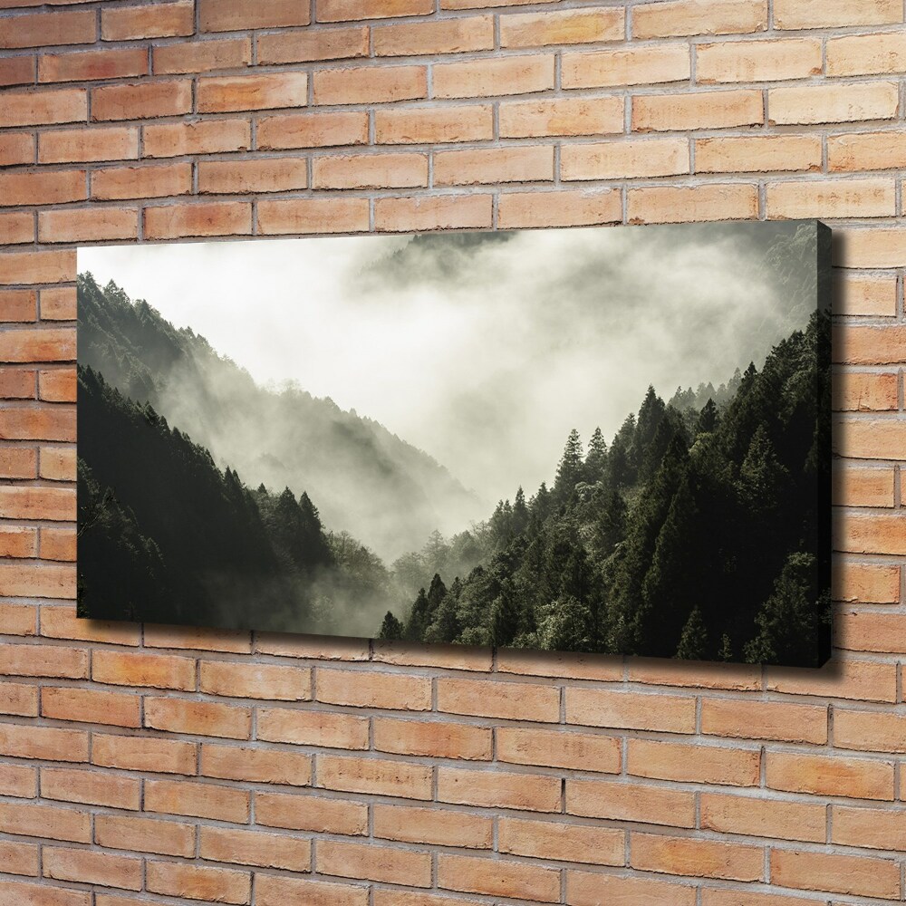 Tableau mural sur toile Brume sur la forêt