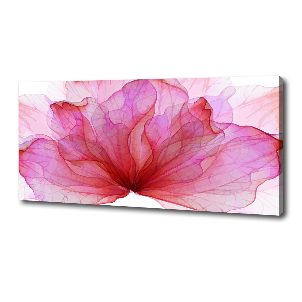 Tableau photo sur toile Fleur rose