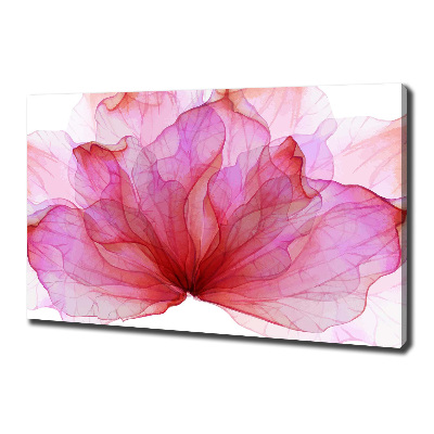 Tableau photo sur toile Fleur rose