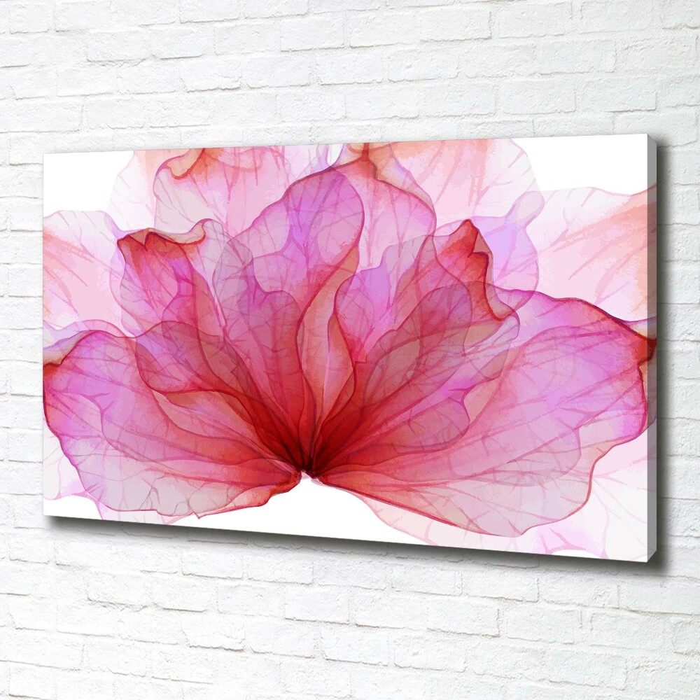 Tableau photo sur toile Fleur rose