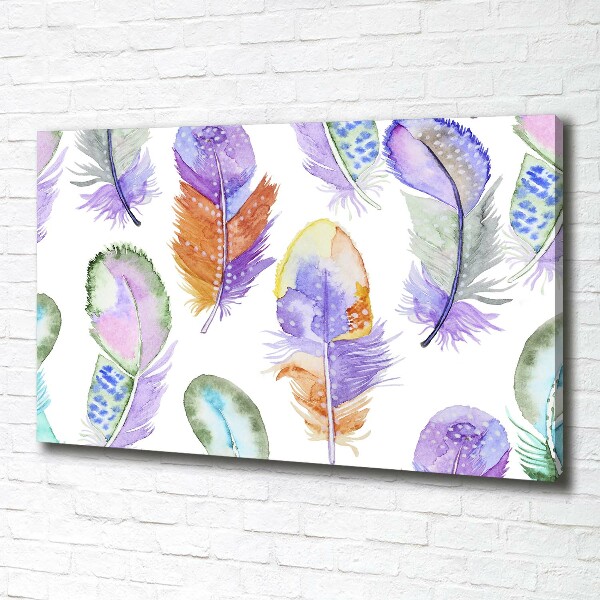 Tableau mural sur toile Plumes colorées