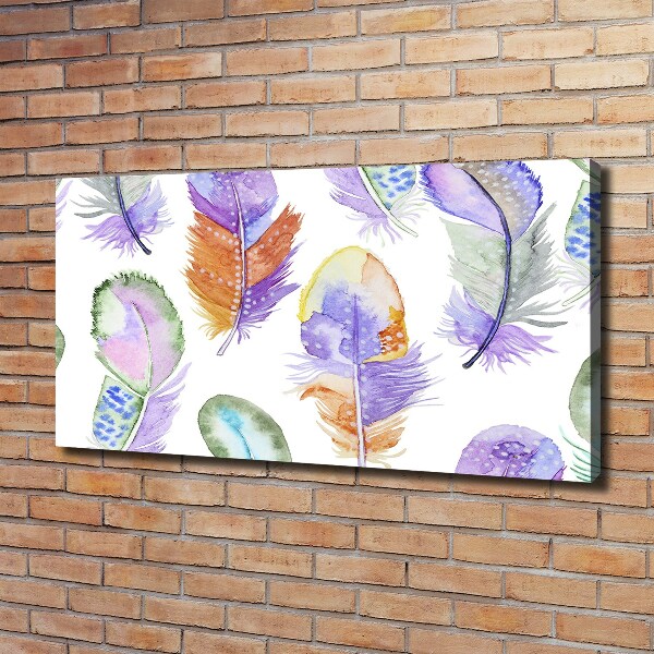 Tableau mural sur toile Plumes colorées