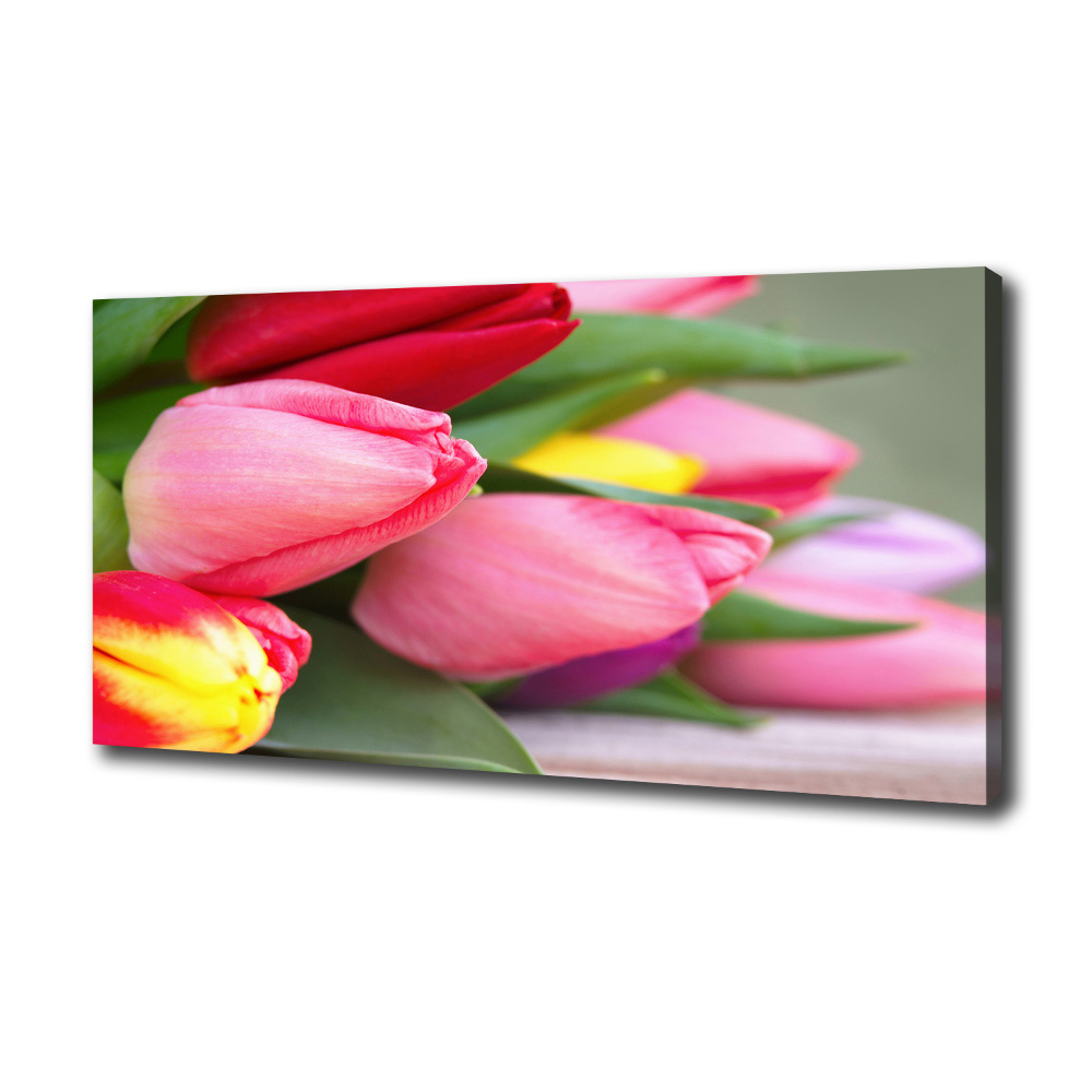 Tableau sur toile Tulipes colorées