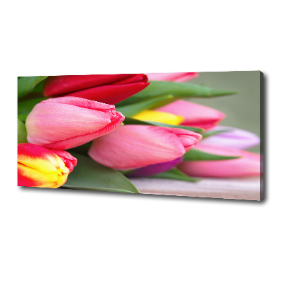 Tableau sur toile Tulipes colorées