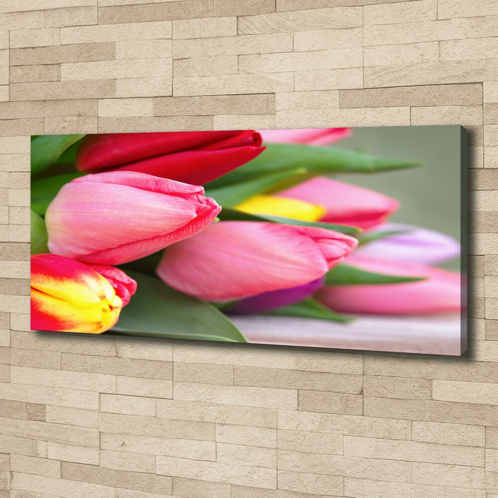 Tableau sur toile Tulipes colorées