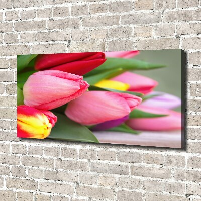 Tableau sur toile Tulipes colorées