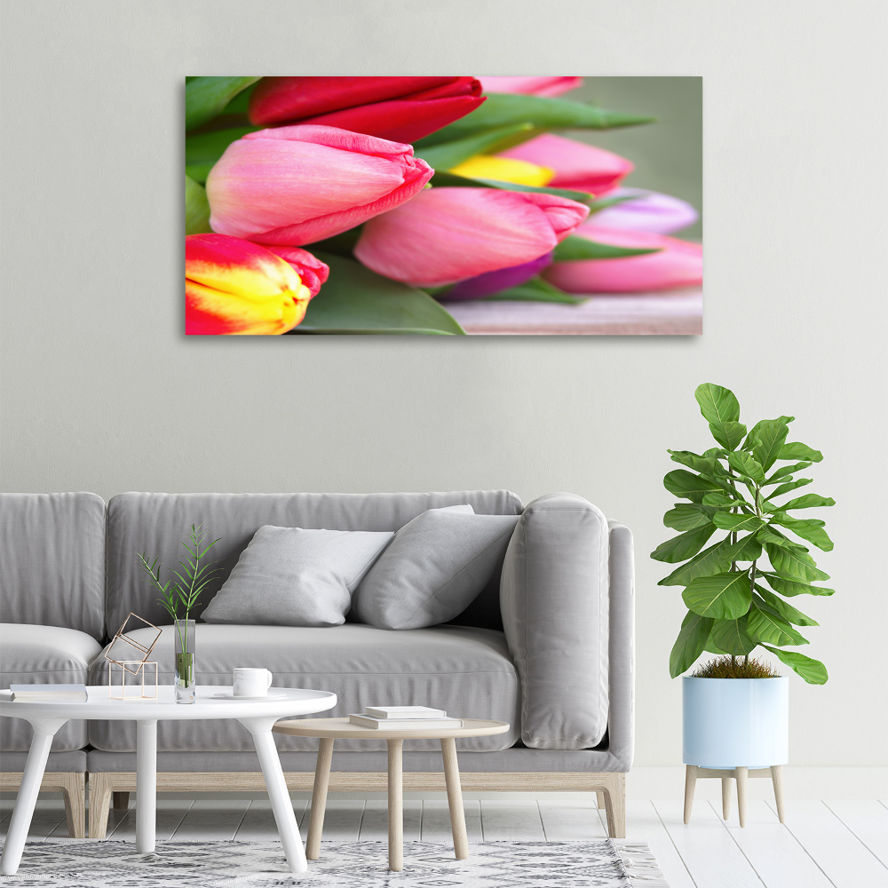 Tableau sur toile Tulipes colorées