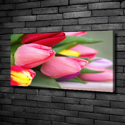 Tableau sur toile Tulipes colorées