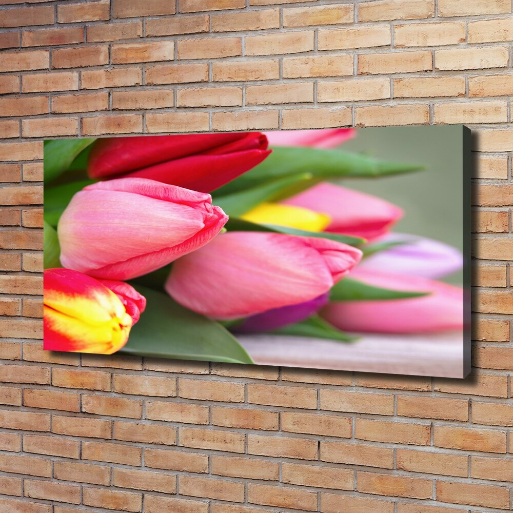 Tableau sur toile Tulipes colorées