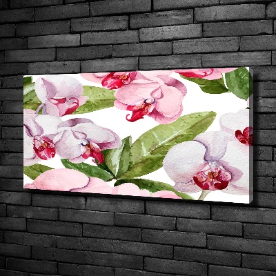 Tableau imprimé sur toile Orchidées roses