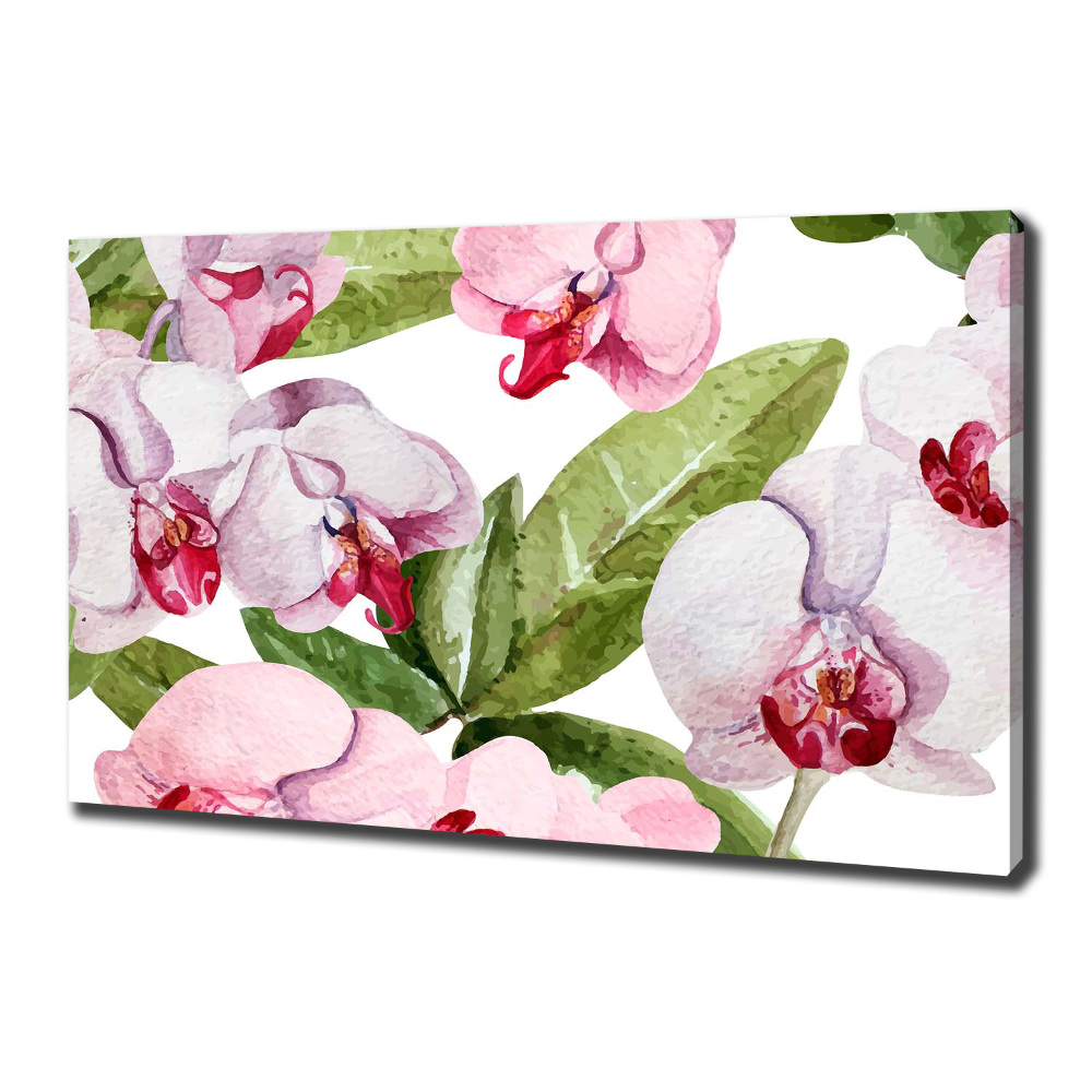 Tableau imprimé sur toile Orchidées roses