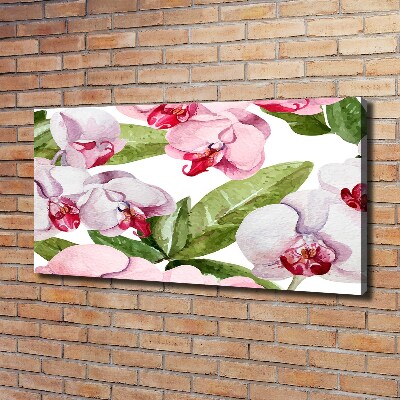 Tableau imprimé sur toile Orchidées roses