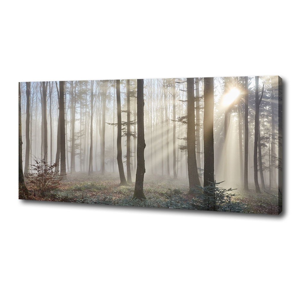 Tableau toile imprimée Le brouillard dans la forêt